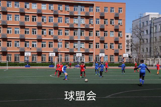 球盟会公司介绍图片